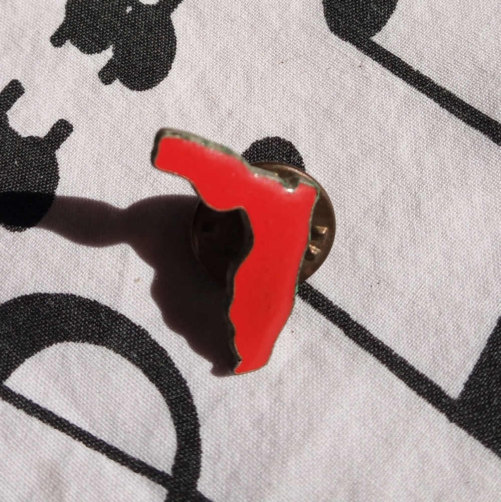 Vintage Florida Pin